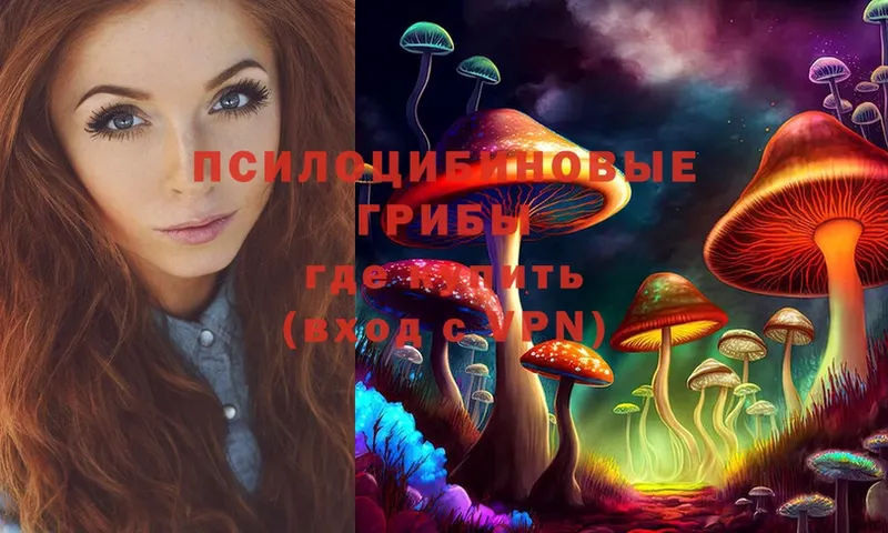 Псилоцибиновые грибы Psilocybine cubensis Тосно